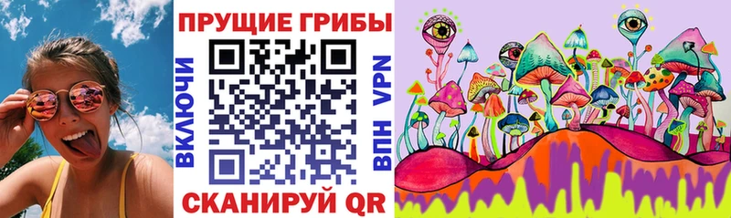 Псилоцибиновые грибы MAGIC MUSHROOMS  ОМГ ОМГ ONION  Вытегра  цена наркотик 