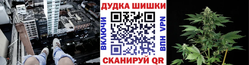 где найти   Вытегра  Канабис THC 21% 